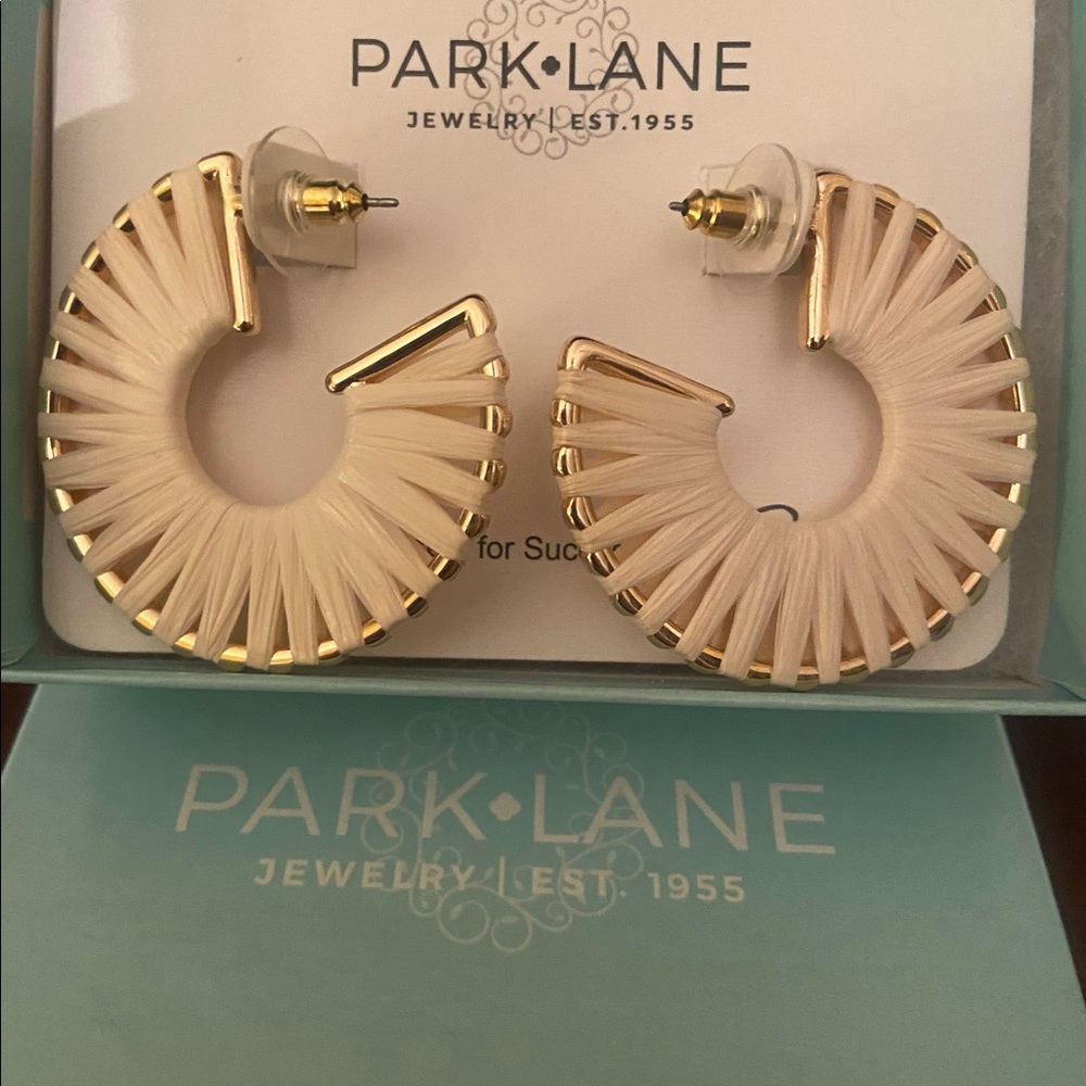 New park lane canyon hoop earrings